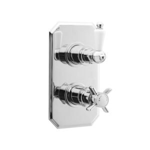 Shower Valves Traditional Twin Thermostatic Shower Valve 210 120 135